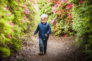 Little boy amongst the Azaleas in Isabella Plantation