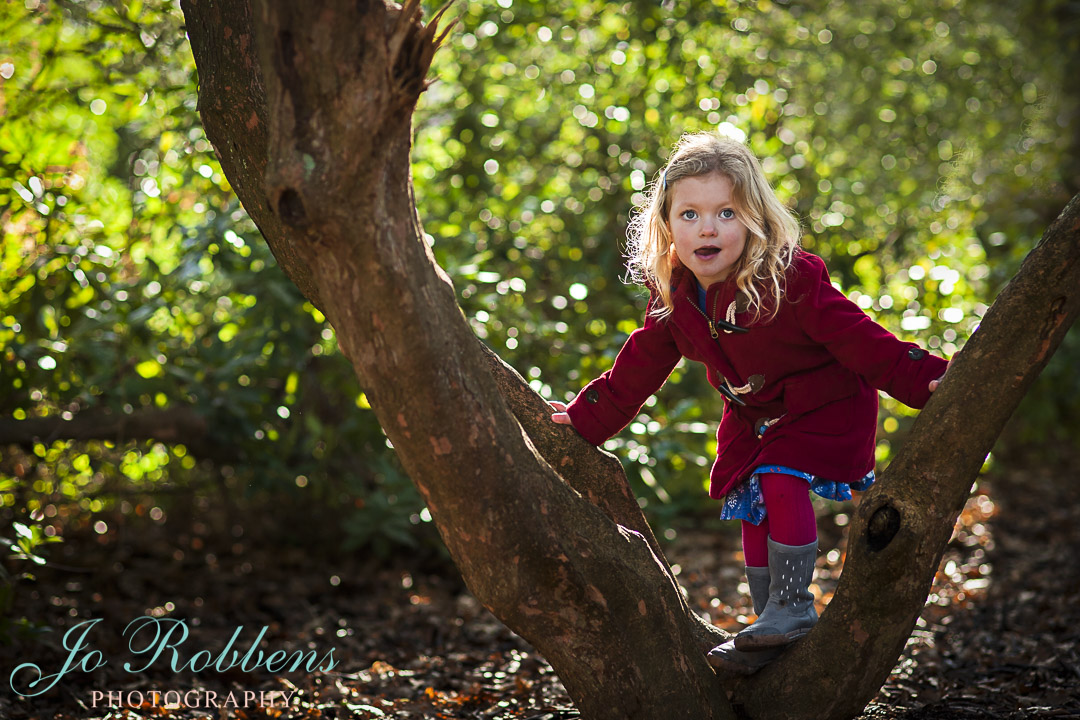 Family photography Surrey - child climbing tree in Bushy Park 