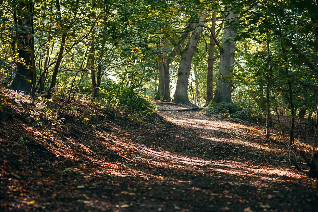 Autumn Family Photographer Surrey - Jo Robbens Photography