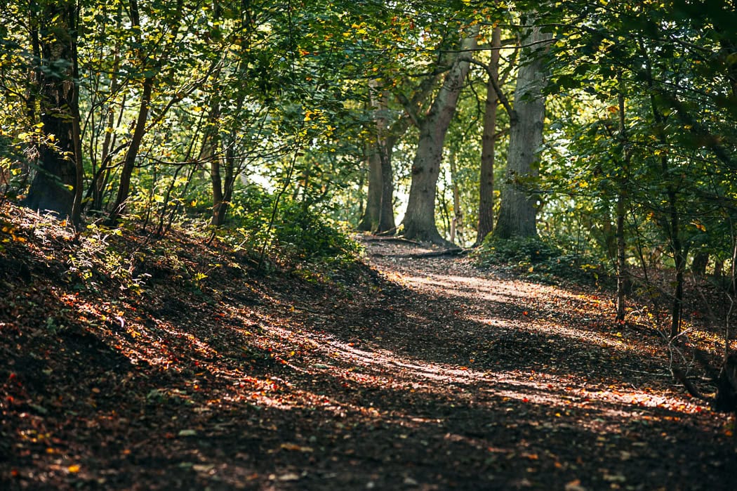 Autumn Family Photographer Surrey - Jo Robbens Photography
