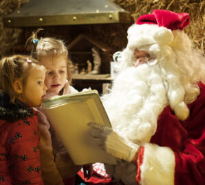 Father Christmas Bocketts Farm