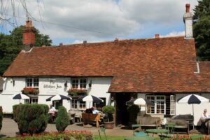 Five Spectacular Autumn Pub Walks in Surrey