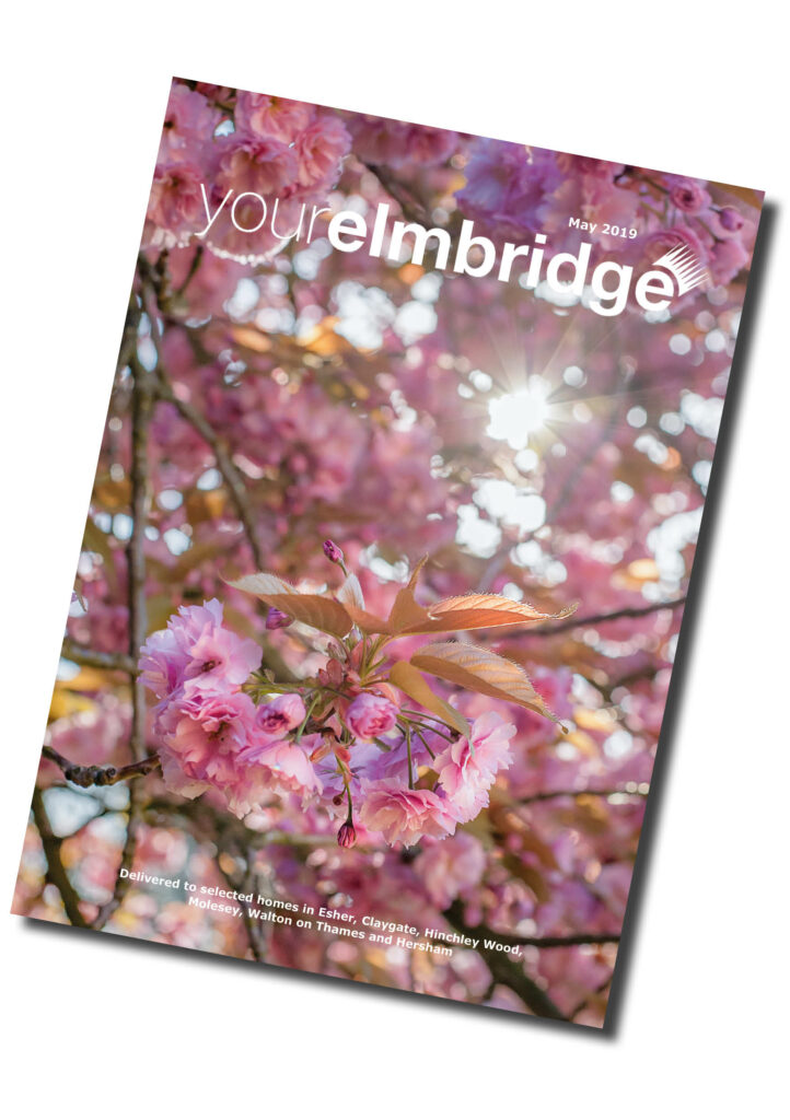 Cherry Blossom Image_Your Elmbridge_Jo Robbens Photography